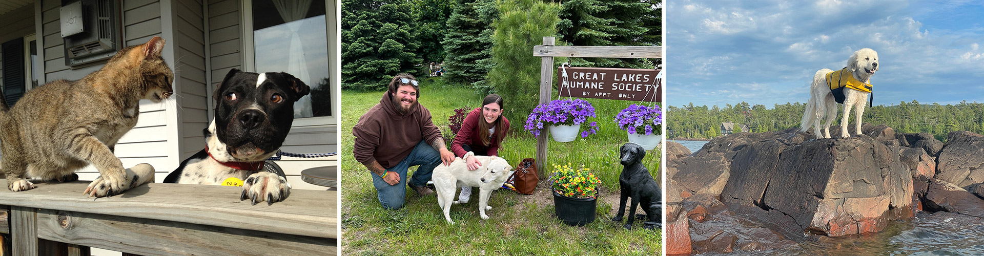 Great Lakes Humane Society